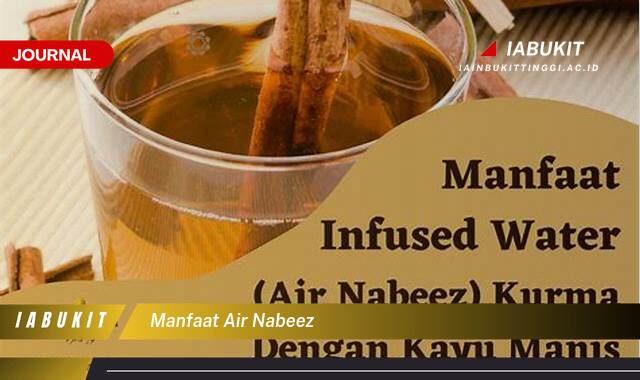 Inilah 10 Manfaat Air Nabeez, Untuk Kesehatan Tubuh yang Optimal