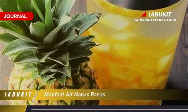 Inilah 9 Manfaat Air Nanas Panas Untuk Kesehatan Tubuh Anda