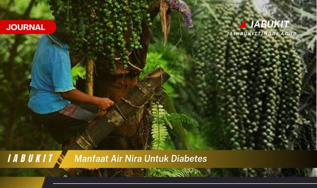 Inilah 10 Manfaat Air Nira untuk Diabetes, Fakta, Mitos, dan Cara Konsumsi yang Aman