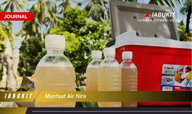 Inilah 9 Manfaat Air Nira untuk Kesehatan Tubuh Anda Inilah 9 Manfaat Air Nira untuk Kesehatan Tubuh Anda