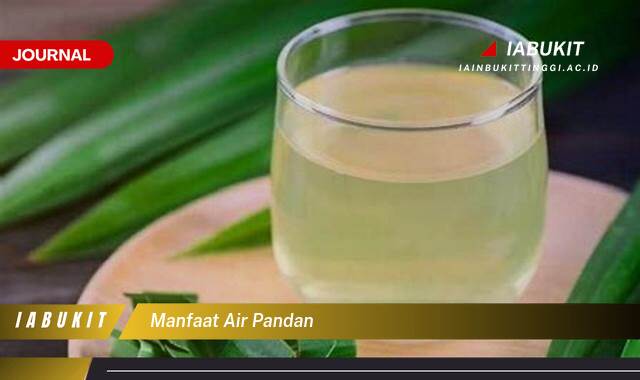 Inilah 9 Manfaat Air Pandan untuk Kesehatan Tubuh Anda