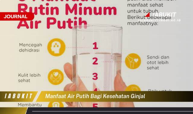 Inilah 8 Manfaat Air Putih bagi Kesehatan Ginjal, Cara Alami Mencegah Penyakit Ginjal
