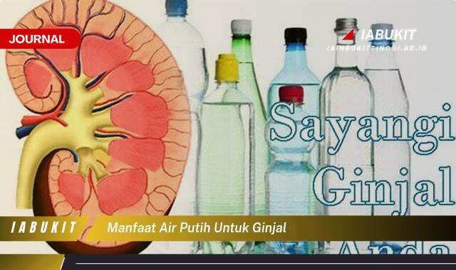 Inilah 10 Manfaat Air Putih untuk Ginjal, Fungsi Optimal, Pencegahan Penyakit, dan Tips Hidrasi Sehat