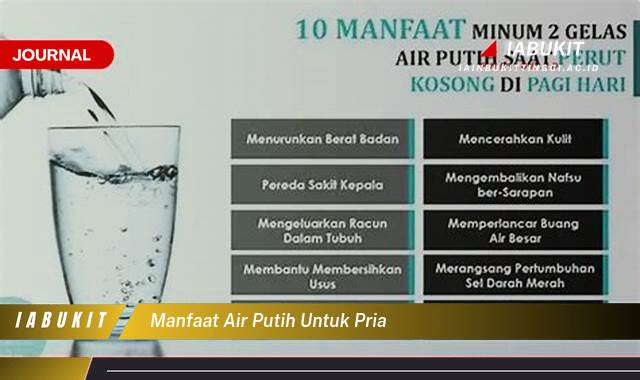 Inilah 8 Manfaat Air Putih untuk Pria, Kesehatan Optimal dan Energi Sepanjang Hari