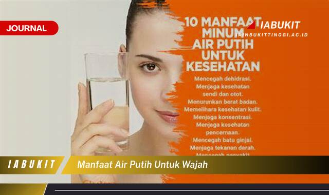 Inilah 9 Manfaat Air Putih untuk Wajah, Kulit Cerah, Kencang, dan Bebas Jerawat