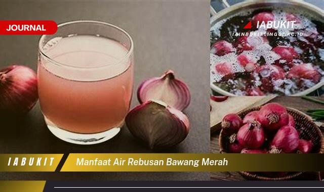Inilah 8 Manfaat Air Rebusan Bawang Merah, Redakan Flu, Turunkan Tekanan Darah, dan Banyak Lagi!