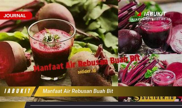 Inilah 10 Manfaat Air Rebusan Buah Bit, Rahasia Kesehatan Alami yang Terungkap