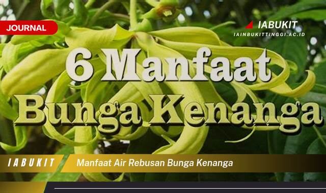 Inilah 10 Manfaat Air Rebusan Bunga Kenanga untuk Kesehatan dan Kecantikan Anda Inilah 10 Manfaat Air Rebusan Bunga Kenanga untuk Kesehatan dan Kecantikan Anda