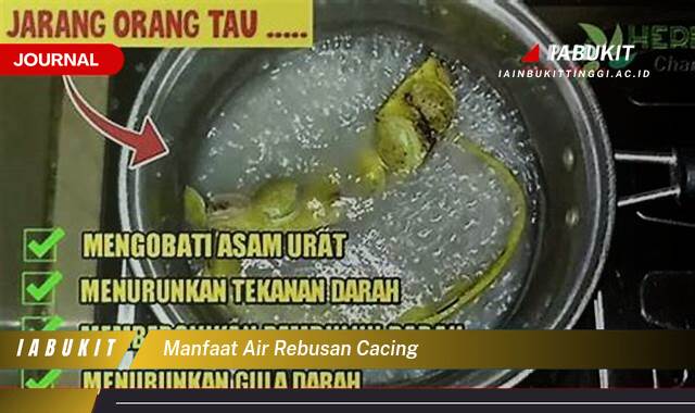 Inilah 9 Manfaat Air Rebusan Cacing untuk Kesehatan Tubuh Anda