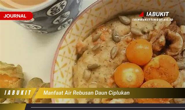 Inilah 10 Manfaat Air Rebusan Daun Ciplukan Untuk Kesehatan Tubuh Anda