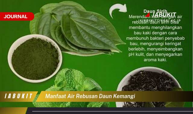 Inilah 8 Manfaat Air Rebusan Daun Kemangi, Khasiat Tersembunyi untuk Kesehatan Anda