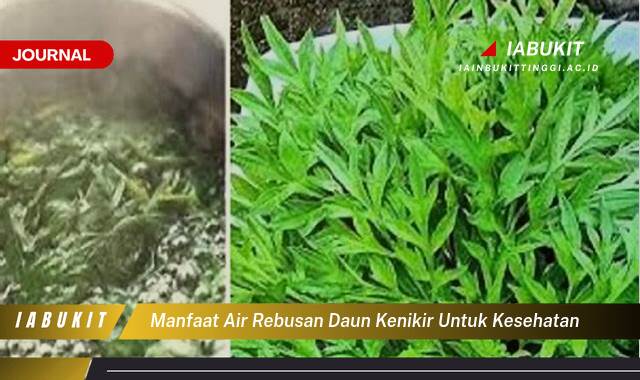 Inilah 8 Manfaat Air Rebusan Daun Kenikir untuk Kesehatan, Khasiat Tersembunyi yang Wajib Anda Tahu