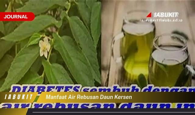 Inilah 8 Manfaat Air Rebusan Daun Kersen untuk Kesehatan Anda