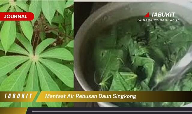 Inilah 9 Manfaat Air Rebusan Daun Singkong Untuk Kesehatan Tubuh Anda