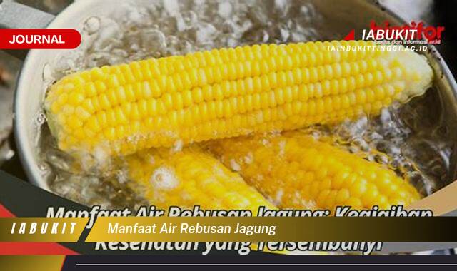 Inilah 10 Manfaat Air Rebusan Jagung untuk Kesehatan Anda yang Menakjubkan Inilah 10 Manfaat Air Rebusan Jagung untuk Kesehatan Anda yang Menakjubkan