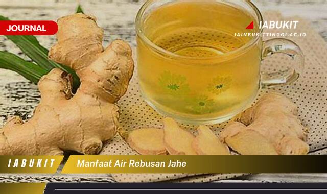 Inilah 10 Manfaat Air Rebusan Jahe untuk Kesehatan Tubuh Anda Inilah 10 Manfaat Air Rebusan Jahe untuk Kesehatan Tubuh Anda