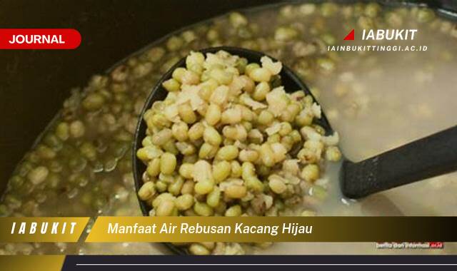 Inilah 9 Manfaat Air Rebusan Kacang Hijau untuk Kesehatan Tubuh Anda