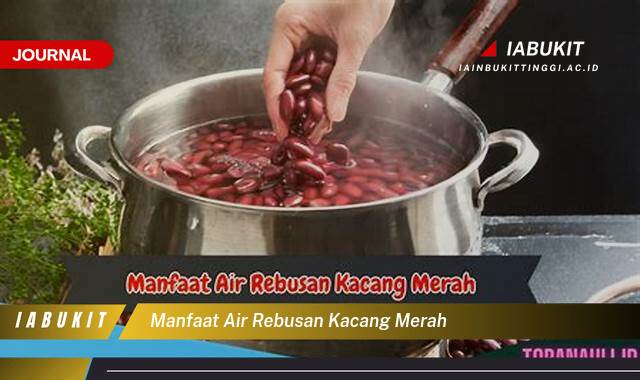 Inilah 10 Manfaat Air Rebusan Kacang Merah, Kandungan Gizi, Cara Membuat, dan Efek Sampingnya