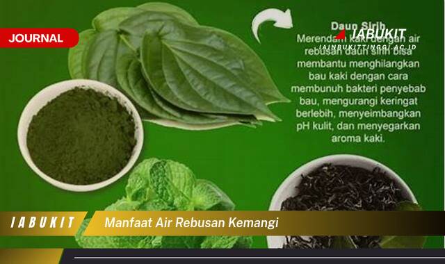 Inilah 8 Manfaat Air Rebusan Kemangi, Rahasia Kesehatan Alami untuk Kulit, Pencernaan, dan Imunitas Tubuh