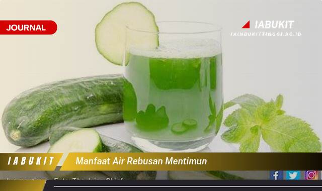 Inilah 10 Manfaat Air Rebusan Mentimun, Rahasia Kesehatan Alami yang Terungkap