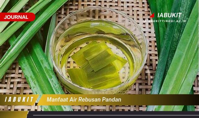 Inilah 9 Manfaat Air Rebusan Pandan untuk Kesehatan Tubuh Anda