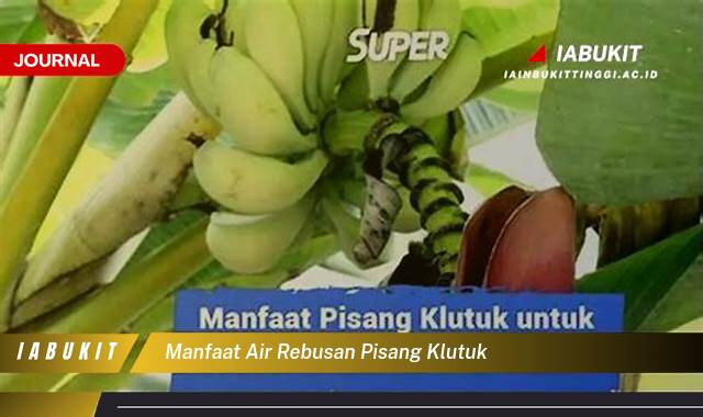 Inilah 9 Manfaat Air Rebusan Pisang Klutuk Untuk Kesehatan Anda