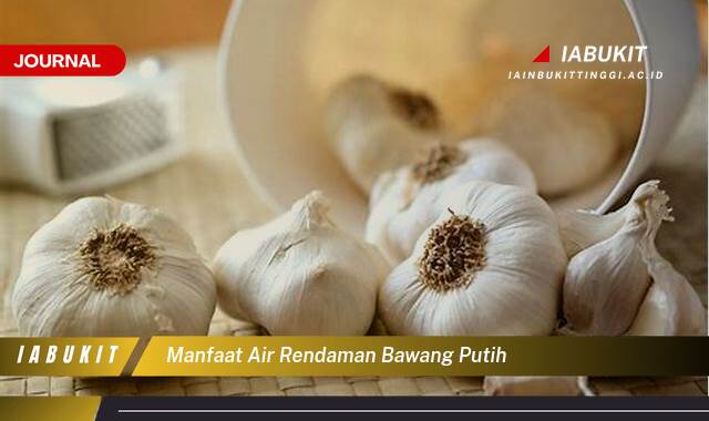 Inilah 10 Manfaat Air Rendaman Bawang Putih untuk Kesehatan Tubuh Anda Inilah 10 Manfaat Air Rendaman Bawang Putih untuk Kesehatan Tubuh Anda
