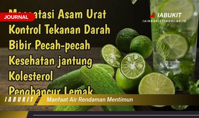 Inilah 10 Manfaat Air Rendaman Mentimun untuk Kesehatan dan Kecantikan Kulit Anda