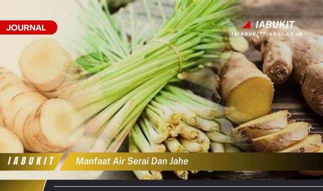 Inilah 10 Manfaat Air Serai dan Jahe untuk Kesehatan Tubuh Anda