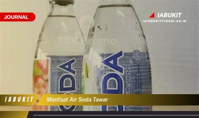 Inilah 8 Manfaat Air Soda Tawar untuk Kesehatan Anda