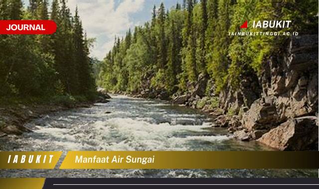 Inilah 9 Manfaat Air Sungai yang Perlu Anda Ketahui, Dari Ekologi Hingga Ekonomi