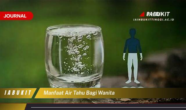 Inilah 10 Manfaat Air Tahu Bagi Wanita untuk Kulit Glowing dan Kesehatan Optimal