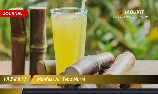 Inilah 8 Manfaat Air Tebu Murni untuk Kesehatan Tubuh Anda