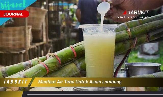 Inilah 8 Manfaat Air Tebu untuk Asam Lambung, Meredakan Nyeri dan Mencegah Kambuh