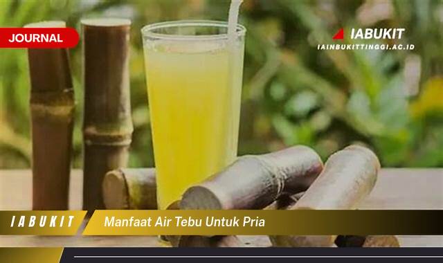 Inilah 9 Manfaat Air Tebu untuk Kesehatan Pria, Energi, Stamina, dan Lainnya