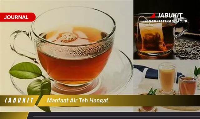 Inilah 10 Manfaat Air Teh Hangat untuk Kesehatan Tubuh Anda