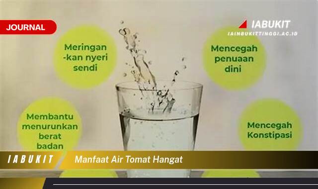 Inilah 8 Manfaat Air Tomat Hangat untuk Kesehatan Kulit dan Pencernaan
