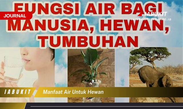Inilah 9 Manfaat Air untuk Hewan, Panduan Lengkap Kesehatan dan Kehidupan