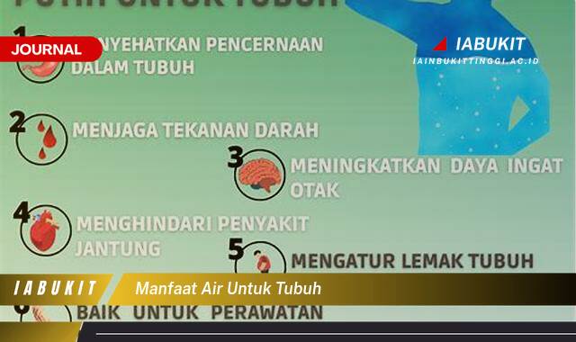 Inilah 9 Manfaat Air untuk Tubuh, Panduan Lengkap untuk Kesehatan Optimal