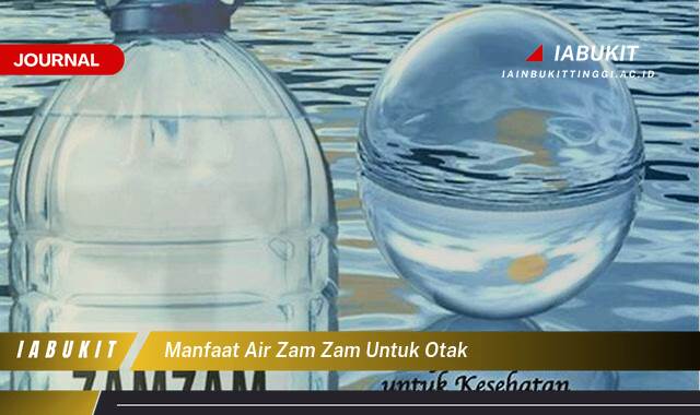 Inilah 8 Manfaat Air Zam Zam untuk Otak, Meningkatkan Fungsi Kognitif dan Memori?