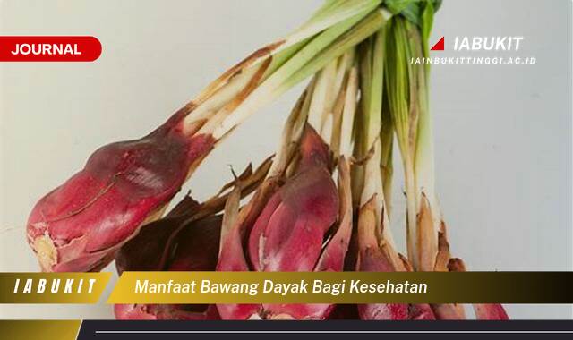 Inilah 8 Manfaat Bawang Dayak Bagi Kesehatan Untuk Jantung, Diabetes, dan Imunitas