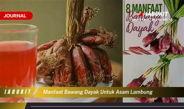Inilah 8 Manfaat Bawang Dayak untuk Asam Lambung, Redakan Gejala dan Cegah Kekambuhan Secara Alami