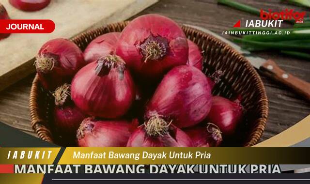 Inilah 8 Manfaat Bawang Dayak untuk Pria, Meningkatkan Stamina dan Kesehatan Secara Alami Inilah 8 Manfaat Bawang Dayak untuk Pria, Meningkatkan Stamina dan Kesehatan Secara Alami
