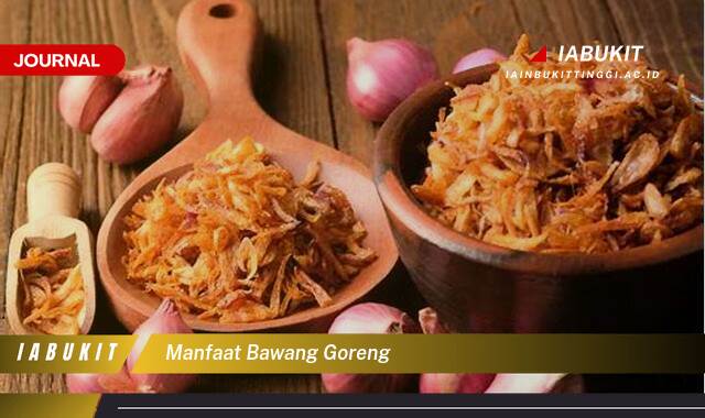 Inilah 8 Manfaat Bawang Goreng, Dari Penyedap Rasa Hingga Kesehatan Inilah 8 Manfaat Bawang Goreng, Dari Penyedap Rasa Hingga Kesehatan
