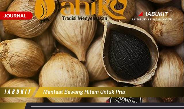 Inilah 10 Manfaat Bawang Hitam untuk Pria, Kesehatan Optimal dan Vitalitas Alami