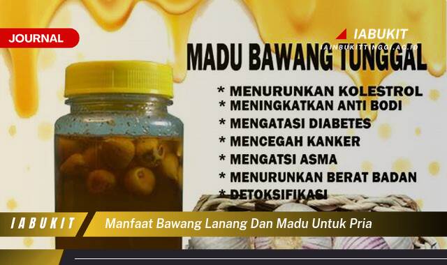 Inilah 8 Manfaat Bawang Lanang dan Madu untuk Pria, Meningkatkan Stamina dan Vitalitas