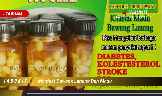 Inilah 8 Manfaat Bawang Lanang dan Madu, Kombinasi Dahsyat untuk Kesehatan Anda