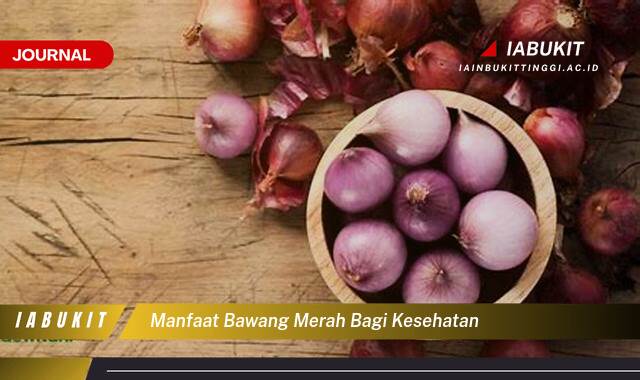 Inilah 9 Manfaat Bawang Merah bagi Kesehatan, Rahasia Alami untuk Tubuh Lebih Sehat dan Kuat