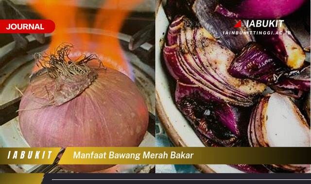 Inilah 9 Manfaat Bawang Merah Bakar untuk Kesehatan, Meningkatkan Imunitas dan Menjaga Daya Tahan Tubuh