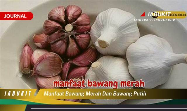 Inilah 9 Manfaat Bawang Merah dan Bawang Putih, Lebih dari Sekadar Bumbu Dapur untuk Kesehatan Anda